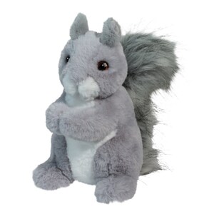 Swiftie the Squirrel